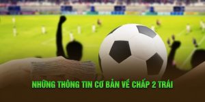 Những thông tin cơ bản về chấp 2 trái